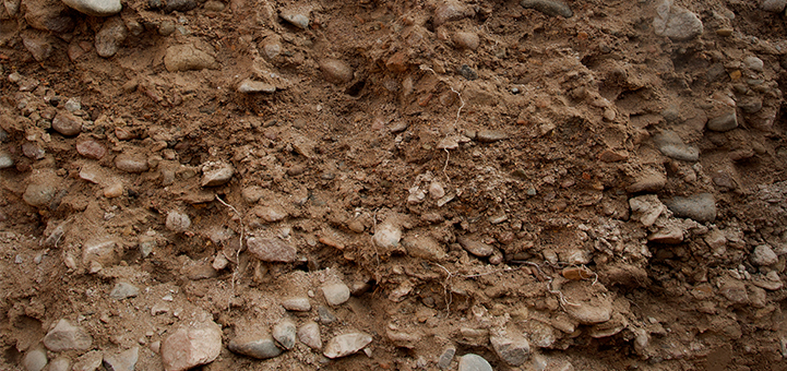 terreno4
